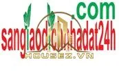 Sàn giao dịch 24h