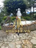 Đinh Vũ Long