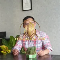 Võ Đại Phong