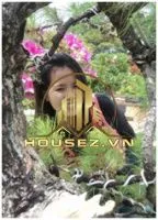 pham hien