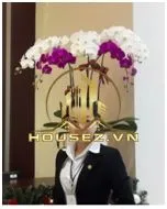 Lê Thị Ngọc Ánh