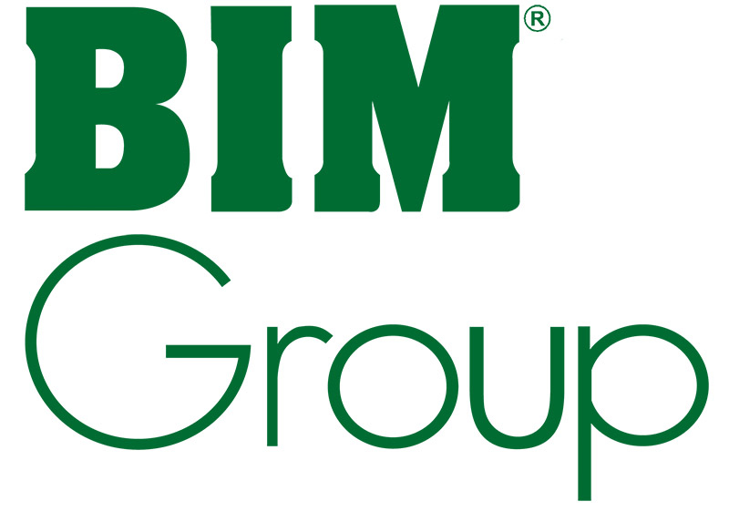 Tập đoàn BIM (BIM Group)