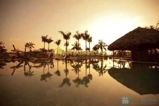 Hình ảnh dự án Asean Resort - Ba Vì