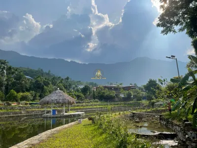 Bản Xôi Village Yên Bài Ba Vì - 5