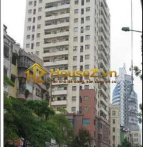 Chung cư 229 Phố Vọng - 4