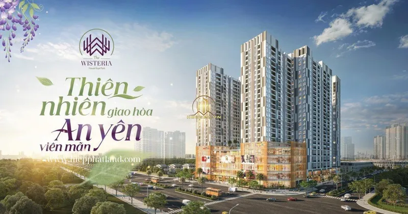 Hình ảnh dự án