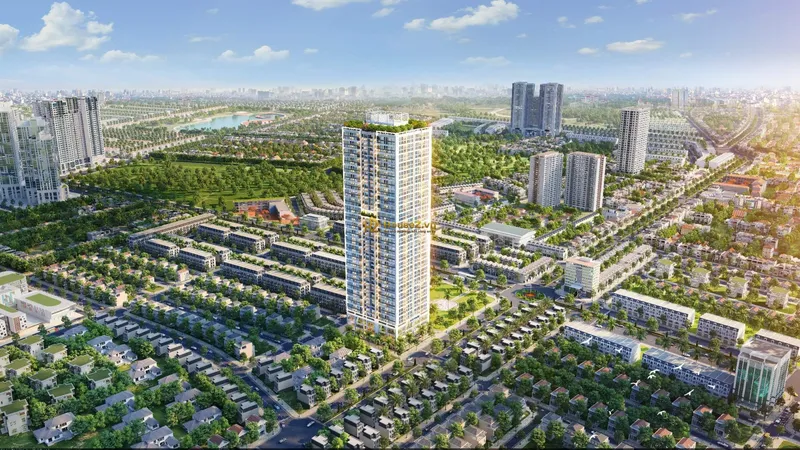 Hình ảnh dự án