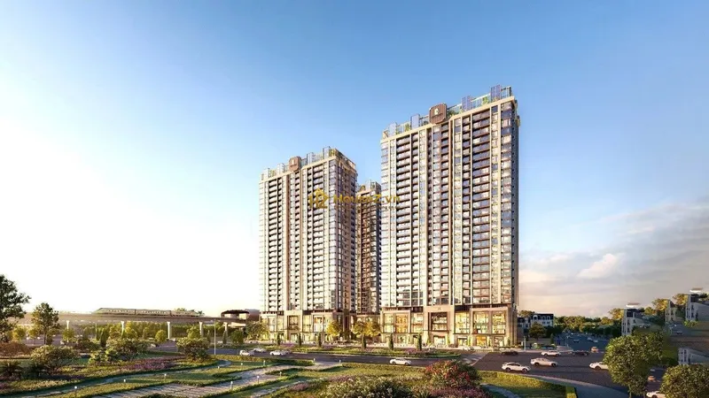 Hình ảnh dự án