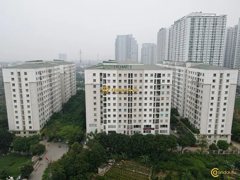 Hình ảnh dự án Ecohome 1