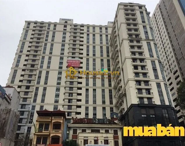 Hình ảnh dự án Golden Millennium