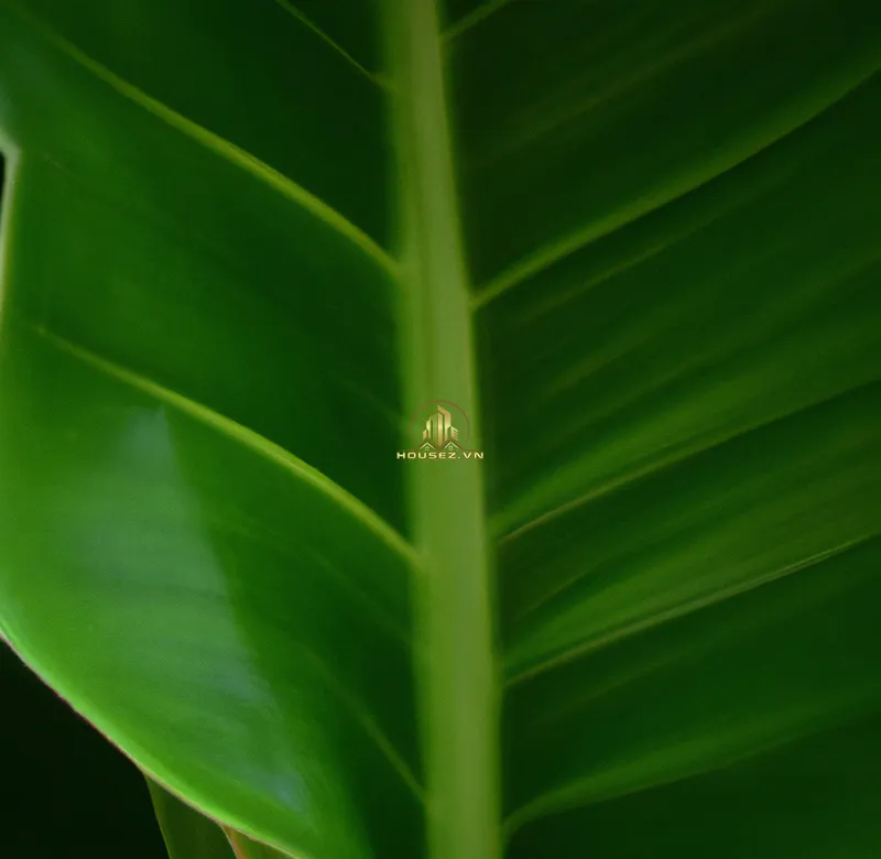 Hình ảnh dự án Green Diamond 93 Láng Hạ