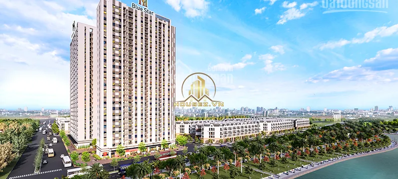 Hanhomes Blue Star