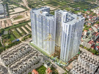 Hanhomes Blue Star - 3