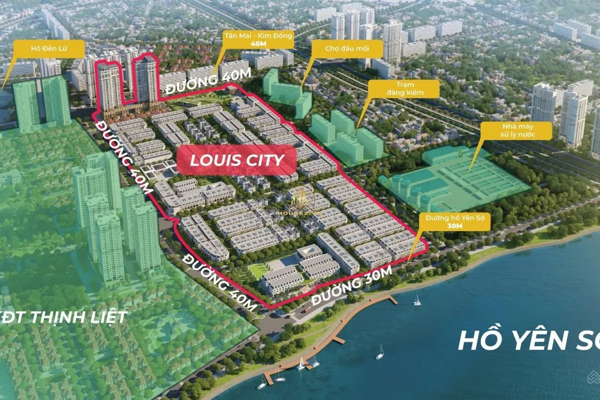 Louis City Đại Mỗ