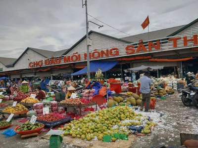 Ngọc Tín Garden Thường Tín - 5