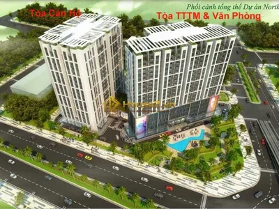 Northern Diamond - 2