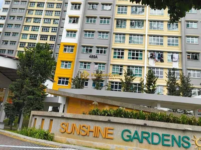 Sunshine Garden - 2