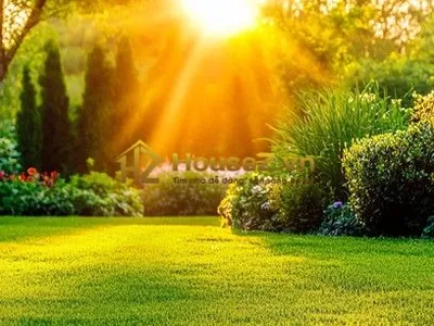 Sunshine Garden - 4