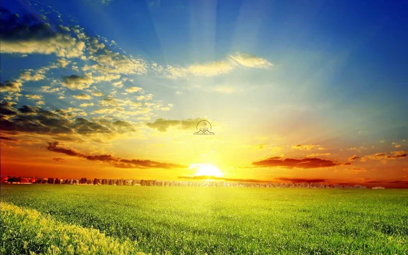 Hình ảnh dự án Sunshine Riverside