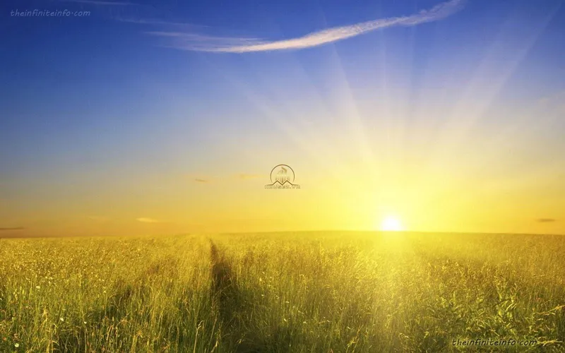 Hình ảnh dự án Sunshine Riverside