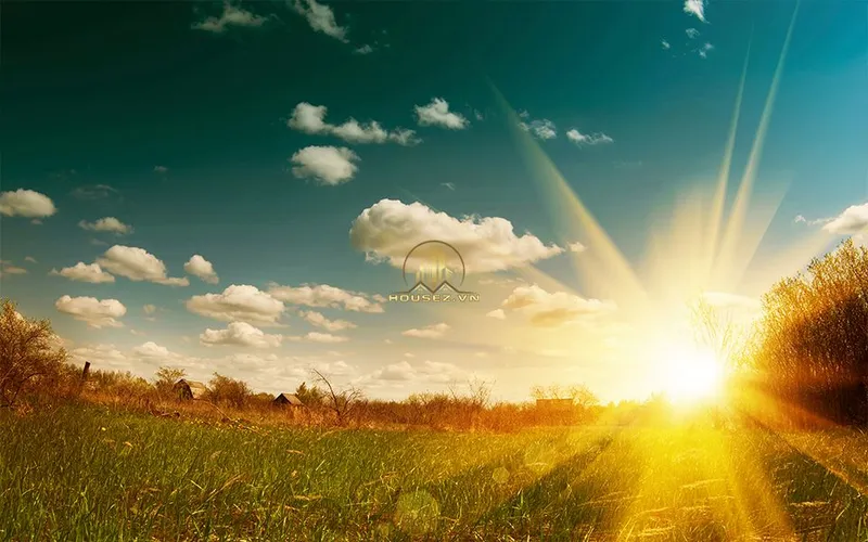 Hình ảnh dự án Sunshine Riverside