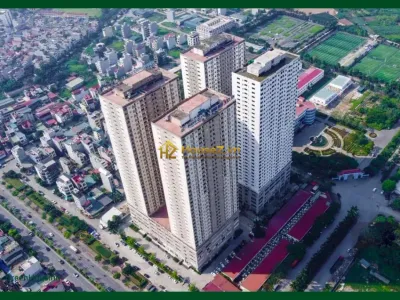 Dự án THT New City - 3