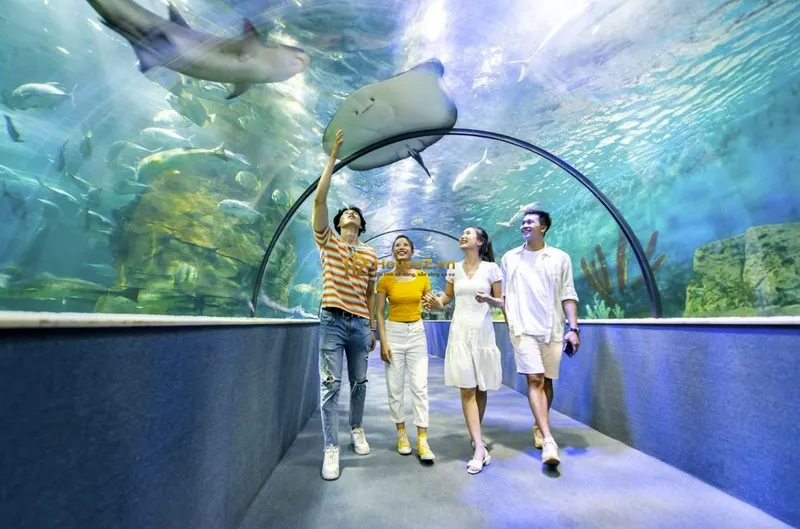 Hình ảnh dự án Times City