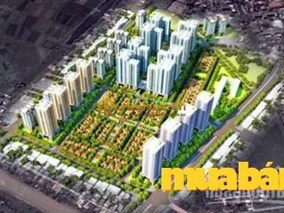 Vibex Từ Liêm