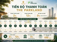 Ảnh 7