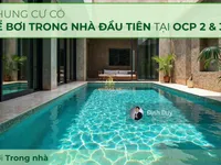 Ảnh 10