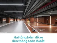 Ảnh 10