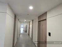 Ảnh 6