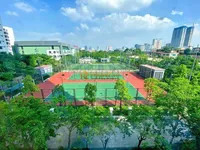 Ảnh 11