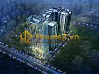 Ảnh 2