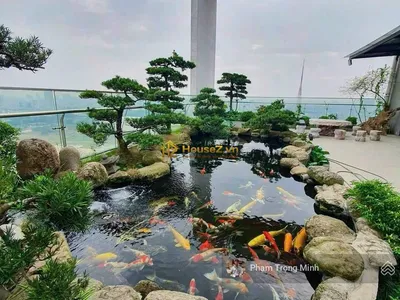 🔥 HIẾM! PENTHOUSE 320M² CÓ SÂN VƯỜN RIÊNG TẠI ROMAN PLAZA – FULL ĐỒ NHẬP KHẨU 🏡