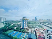 Ảnh 7