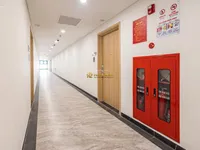 Ảnh 12