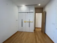 Ảnh 12