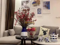 Ảnh 3