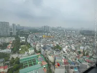 Ảnh 11
