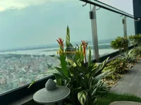 Ảnh 7