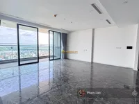 Ảnh 5