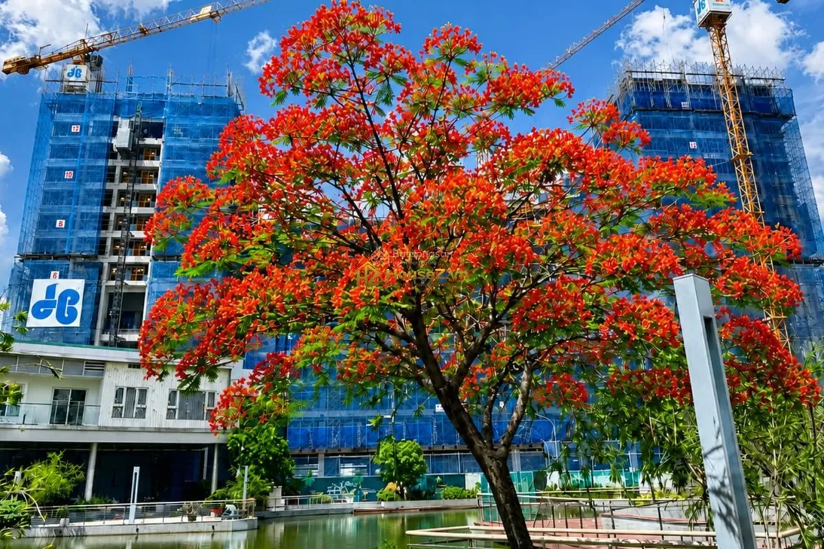 🔥 HOT! THE PEAK GARDEN – 2PN – 2WC – 70,34M² – CHỈ 4,2 TỶ (~60TR/M²) 🔥