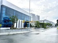 Ảnh 11