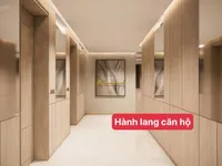 Ảnh 6