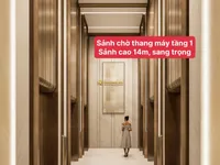 Ảnh 11