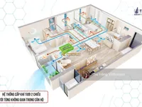 Ảnh 12