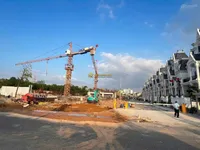 Ảnh 7