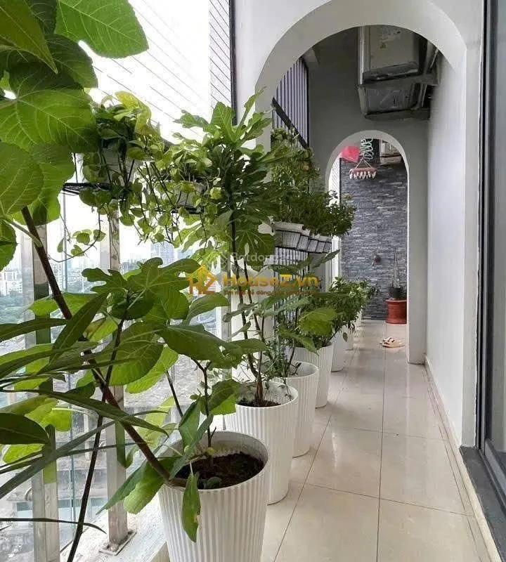 🏡🔥 TIN VUI CHO KHÁCH ĐANG SĂN CĂN HỘ RỘNG – HPC LANDMARK 105 | 133M² | 4PN – 2WC | SỔ ĐỎ | 7,X TỶ 🔥
