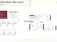 Ảnh 13